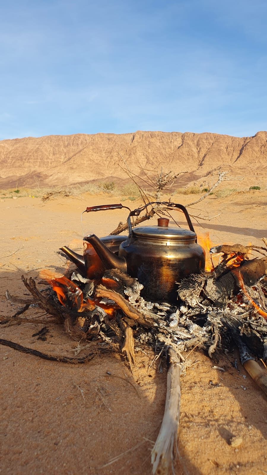 Bedouin Cultural Immersion