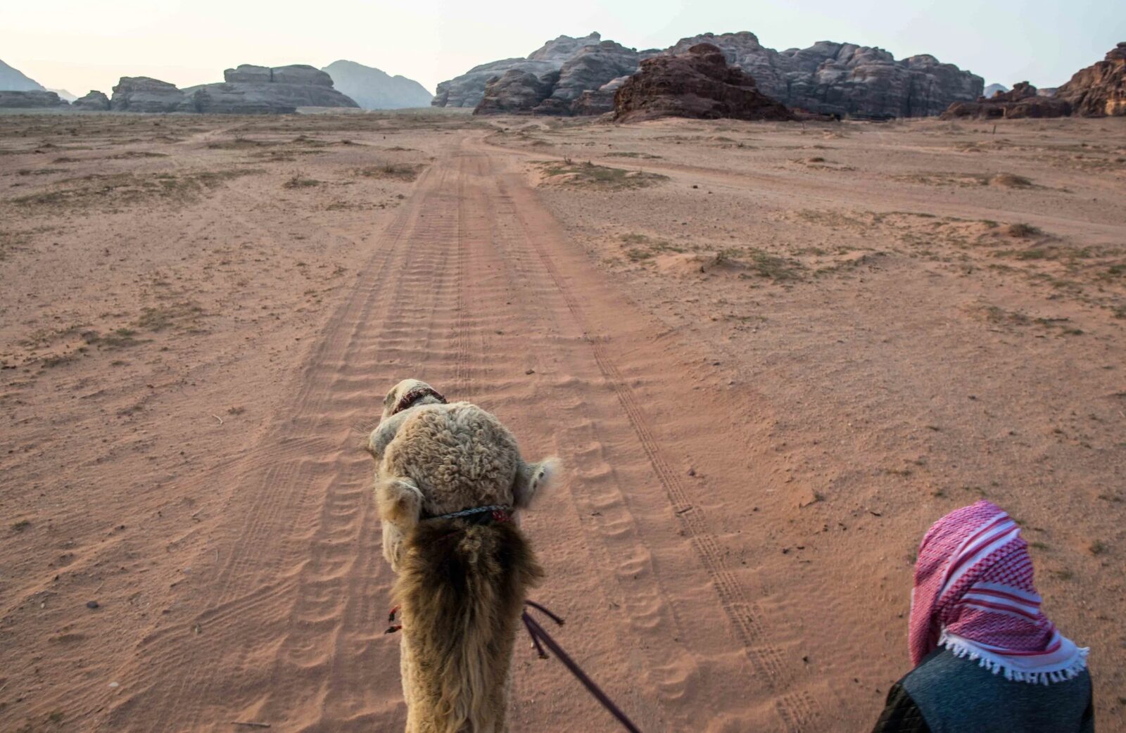 Camel Trekking