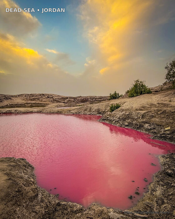 Pink salt pools in the Dead Sea desert landscape of Jordan