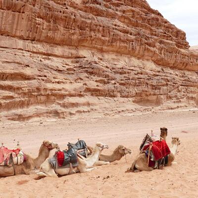 Jeep and camel safari with Bedouin guides, Wadi Rum, Jordan (photo 1)