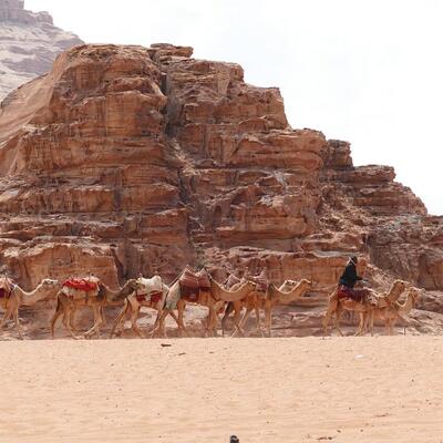 Jeep and camel safari with Bedouin guides, Wadi Rum, Jordan (photo 2)