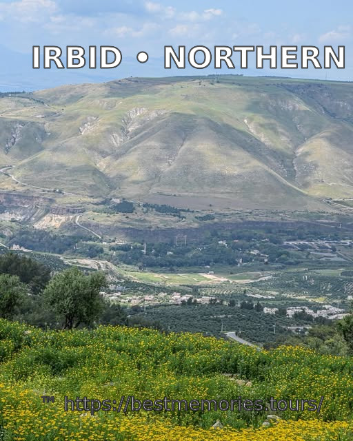 Green spring valley and cultivated hills in the Irbid region of Jordan