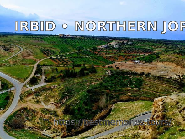 Olive groves and farmland in the countryside around Irbid, northern Jordan