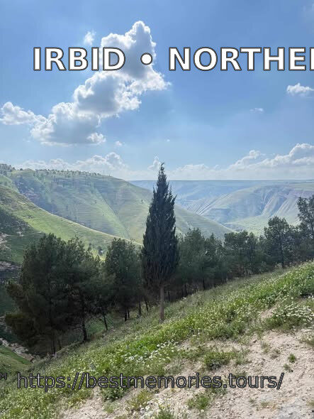 Cypress trees and green valley countryside near Irbid, Jordan